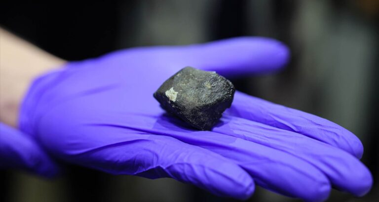 Eastern Cape Meteorite: A Celestial Lie Exposed