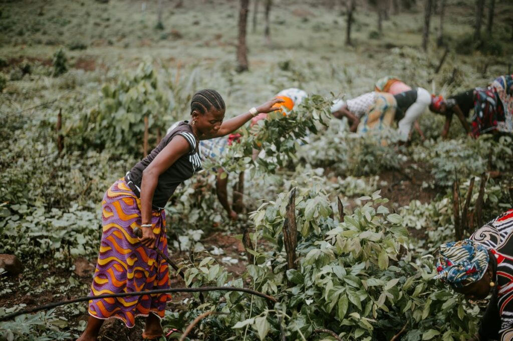 Kampani lends €1 million to boost productivity for small farmers in Senegal
