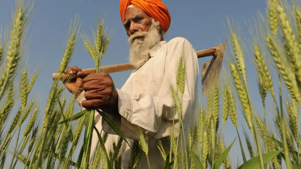Agriculture, Carbon Accounting and Climate Justice Debate