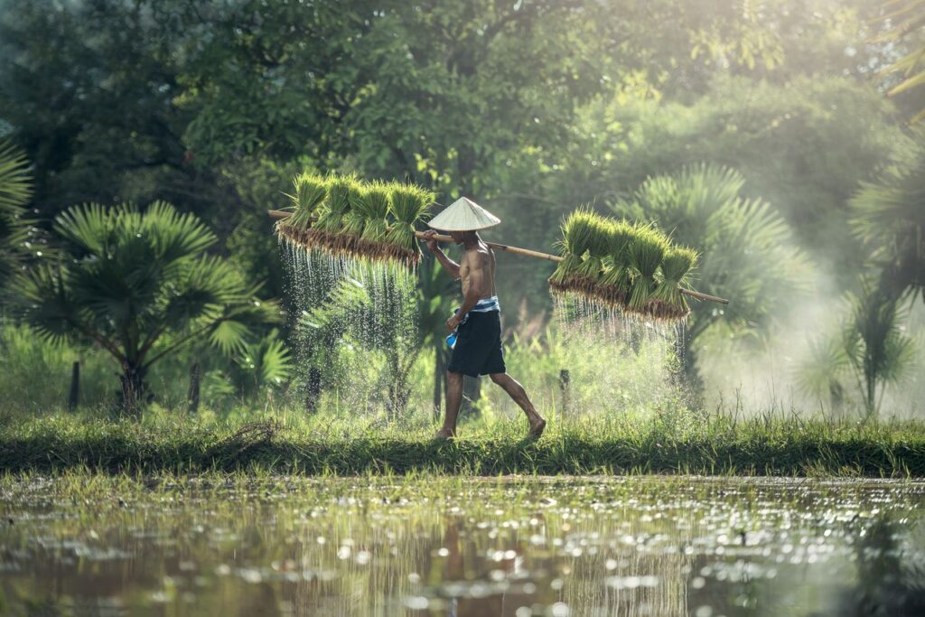 A Guide to CPI’s Climate Finance Data Tools – CPI