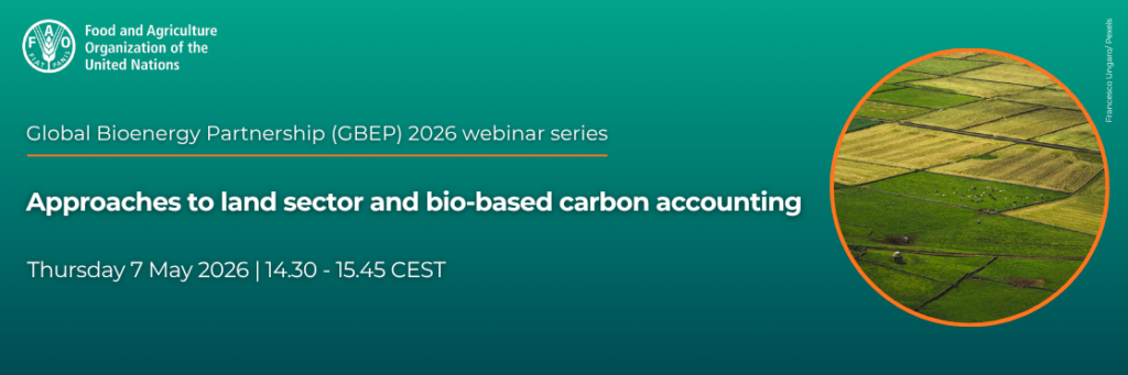 Approaches to land sector and bio-based carbon accounting