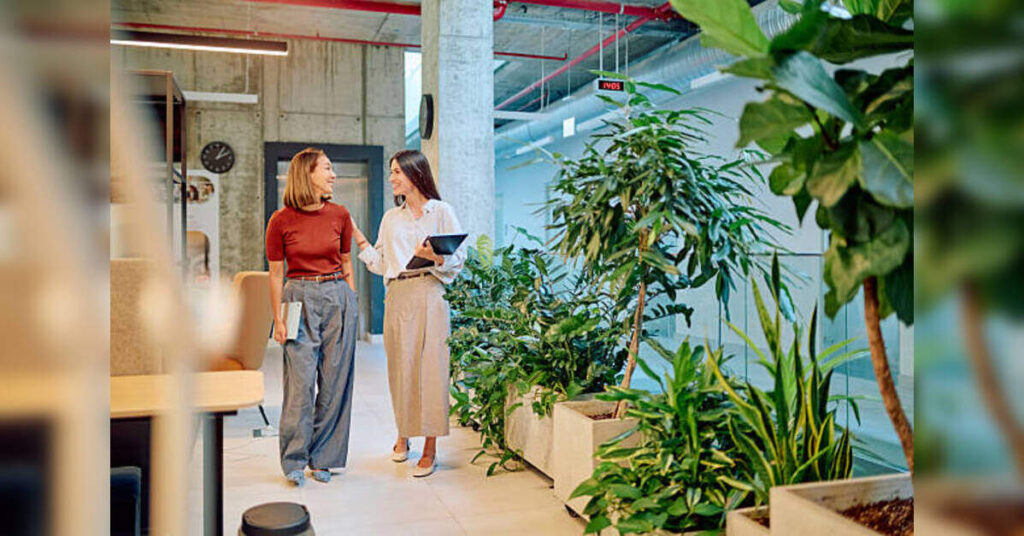 Five-minute hourly walks linked to higher productivity and better mood, study finds